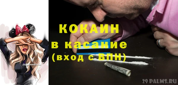 шишки Баксан