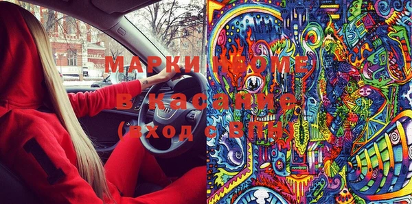 шишки Баксан