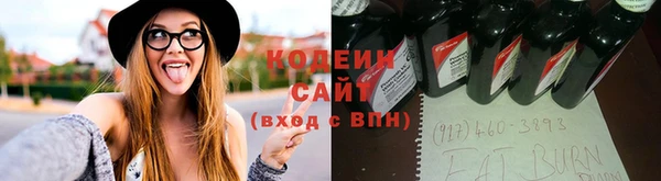 шишки Баксан
