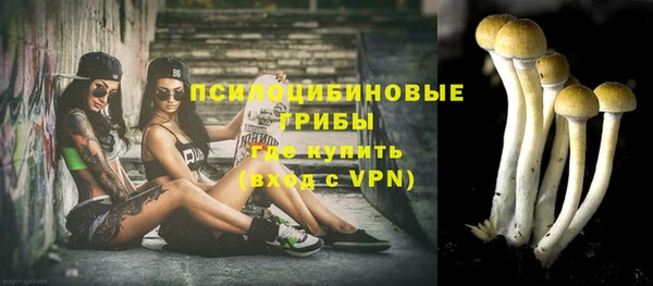 шишки Баксан