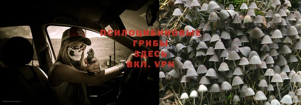 дмт Балахна